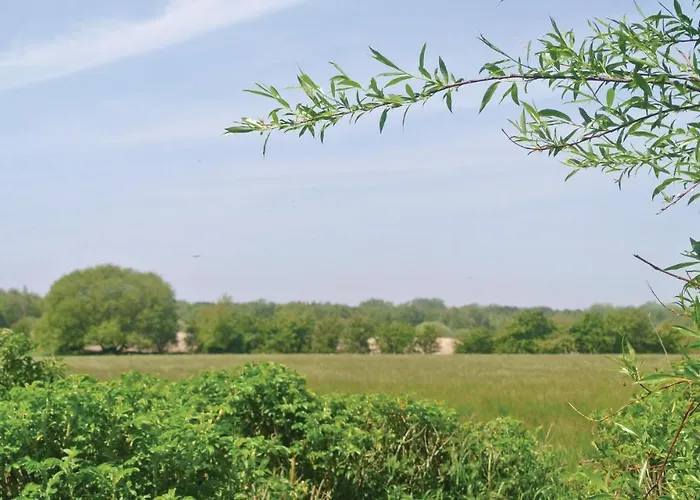 Vibevaenget I Nordenbro Vesteregn